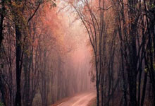 九游娱乐网页-当足坛豪门遭遇篮球天才:利物浦VS东契奇魔幻夜纪实