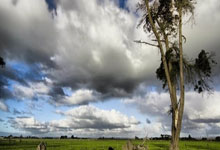 九游娱乐首页-铁血申花客扬威!特谢拉穿云箭引爆魔鬼主场