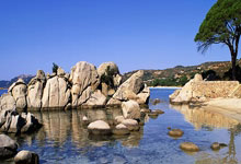 九游娱乐-步行者绝杀北京队,利拉德高光表现