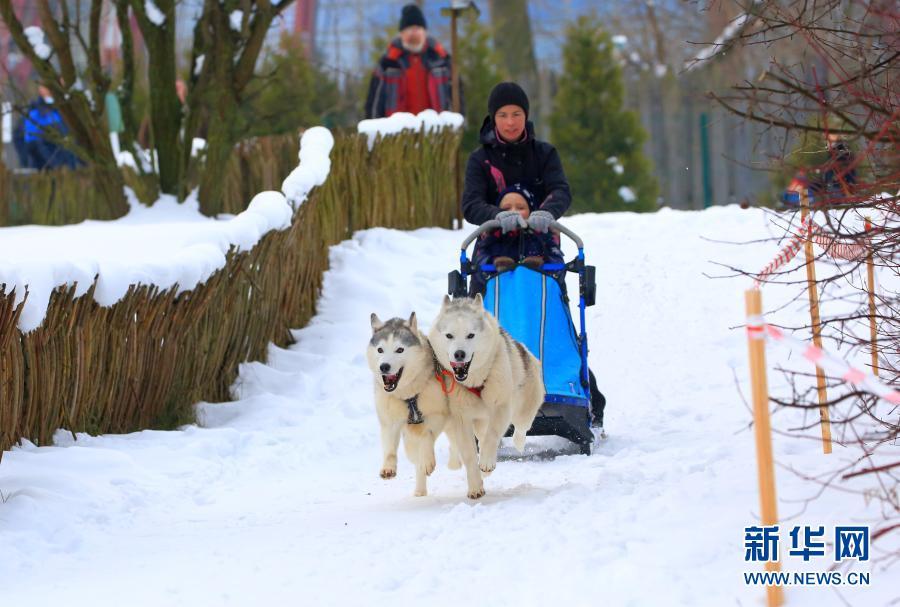 九游体育-白俄罗斯雪橇选手完成惊艳表演