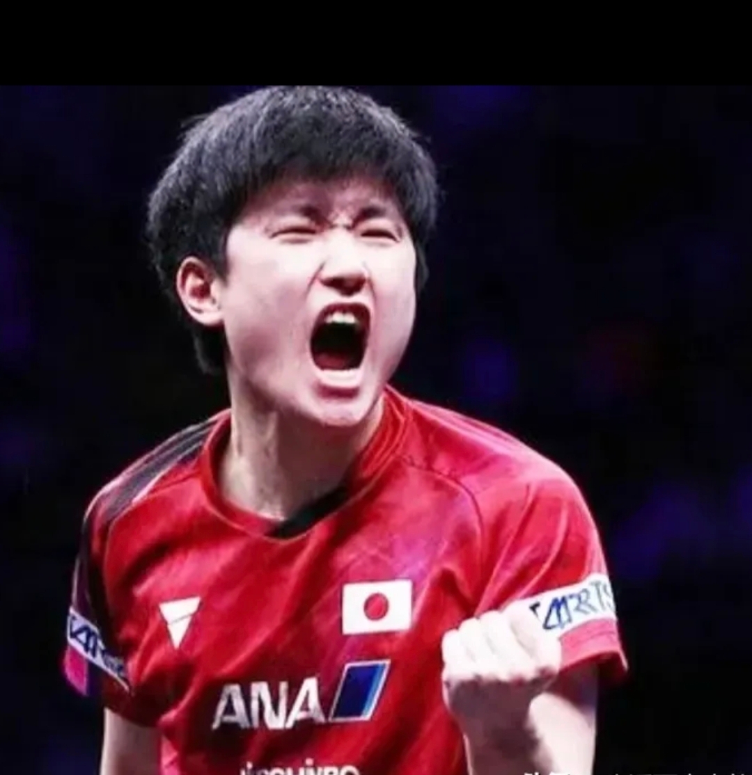 波兰队横扫韩国队，张本智和扛起全队的简单介绍